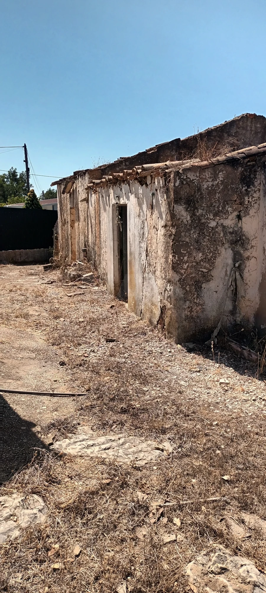 Terreno para Venda em Ferreiras Foto 2