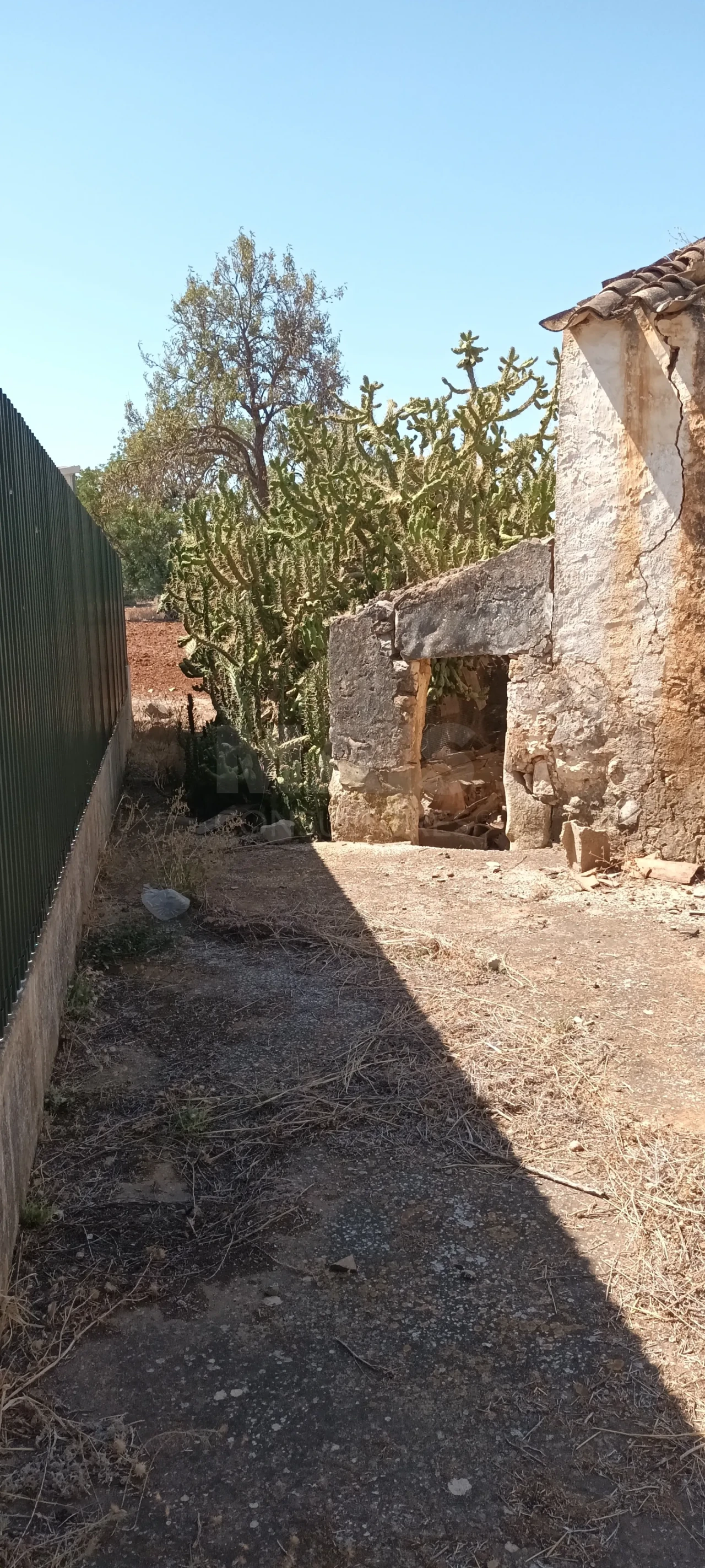 Terreno para Venda em Ferreiras Foto 11