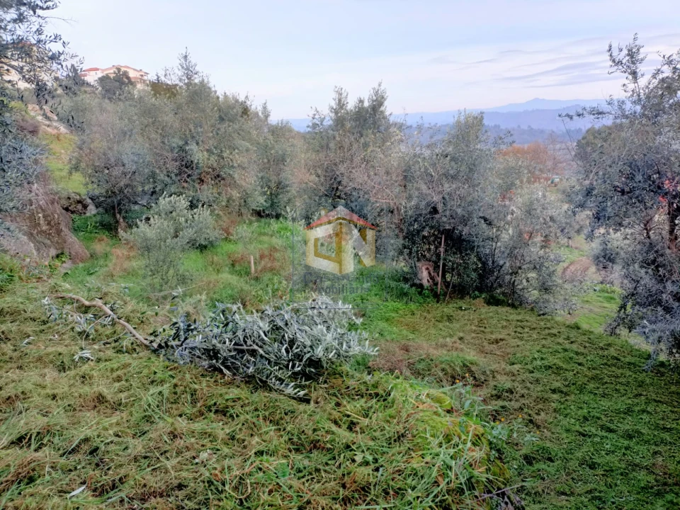 Terreno para Venda em Belmonte e Colmeal da Torre Foto 12