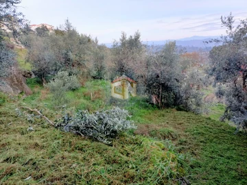 Terreno para Venda em Belmonte e Colmeal da Torre
