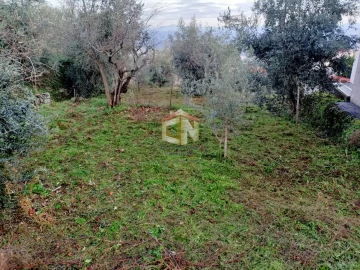 Terreno para Venda em Belmonte e Colmeal da Torre