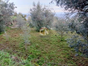 Terreno para Venda em Belmonte e Colmeal da Torre