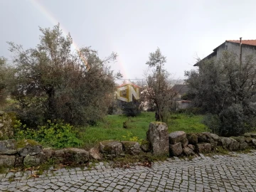 Terreno para Venda em Belmonte e Colmeal da Torre