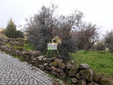 Terreno para Venda em Belmonte e Colmeal da Torre