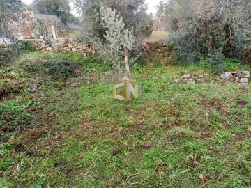 Terreno para Venda em Belmonte e Colmeal da Torre
