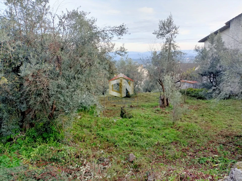 Terreno para Venda em Belmonte e Colmeal da Torre Foto 6