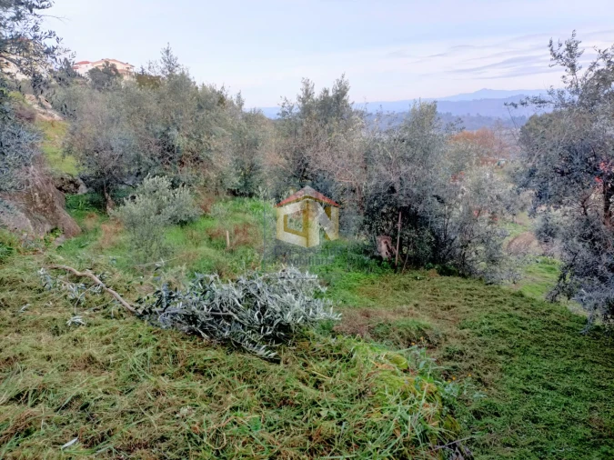 Terreno para Venda em Belmonte e Colmeal da Torre Foto 12