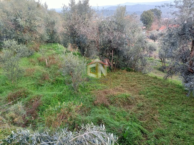 Terreno para Venda em Belmonte e Colmeal da Torre Foto 10