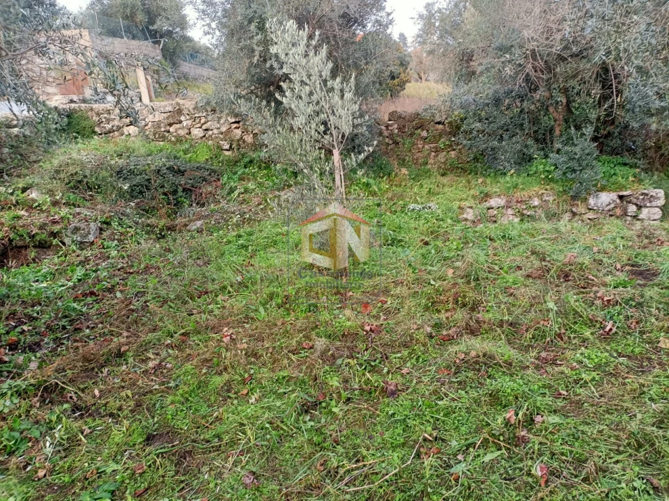 Terreno para Venda em Belmonte e Colmeal da Torre Foto 13