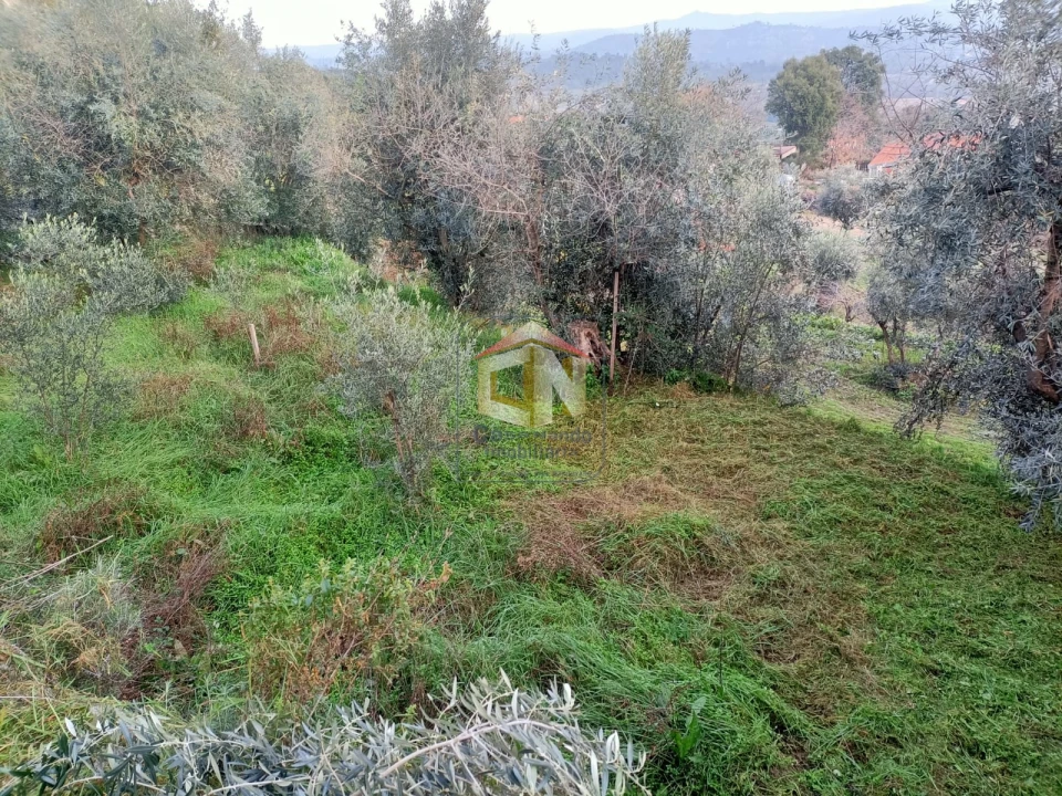 Terreno para Venda em Belmonte e Colmeal da Torre Foto 10