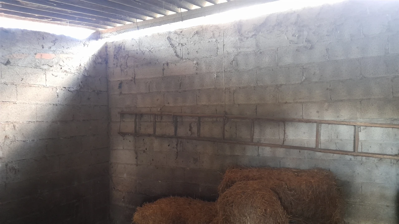 Quinta T0 para Venda em Vila Velha de Rodão Foto 28