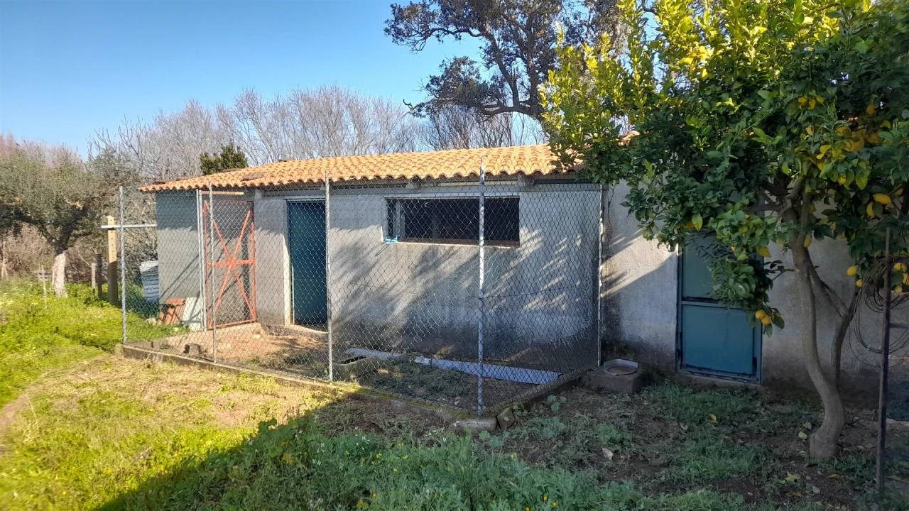 Quinta T0 para Venda em Vila Velha de Rodão Foto 12