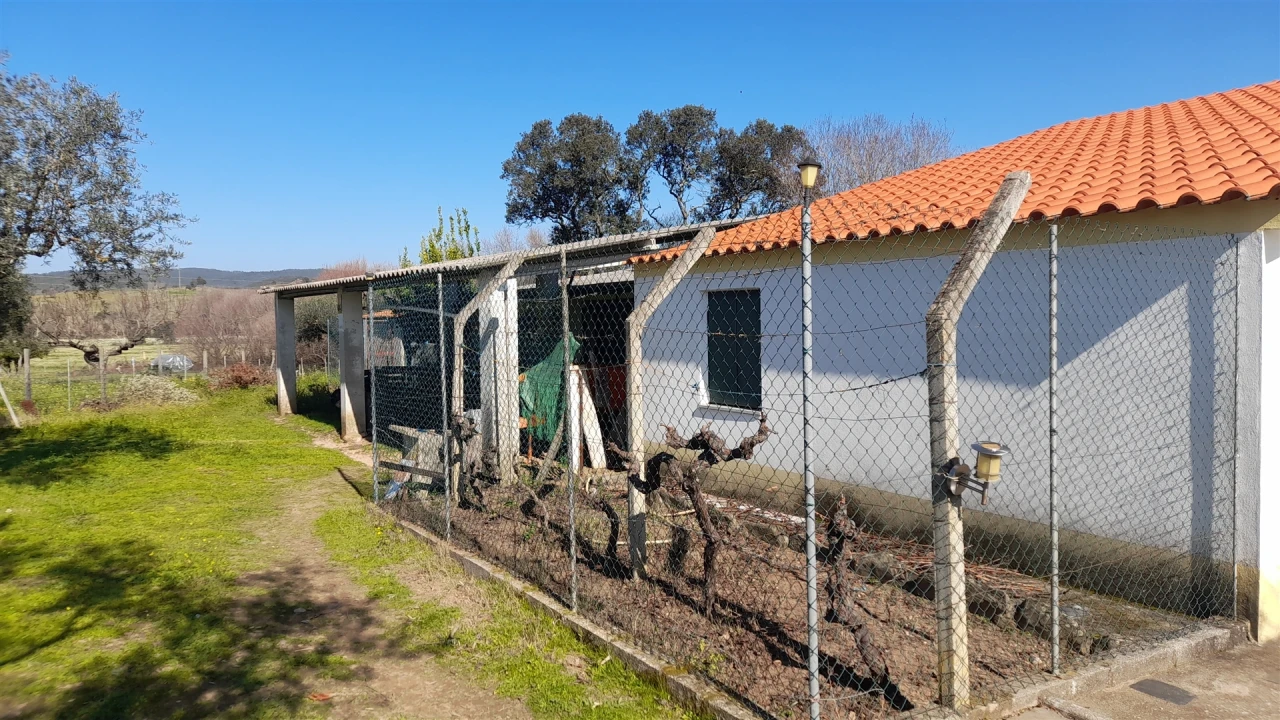 Quinta T0 para Venda em Vila Velha de Rodão Foto 17