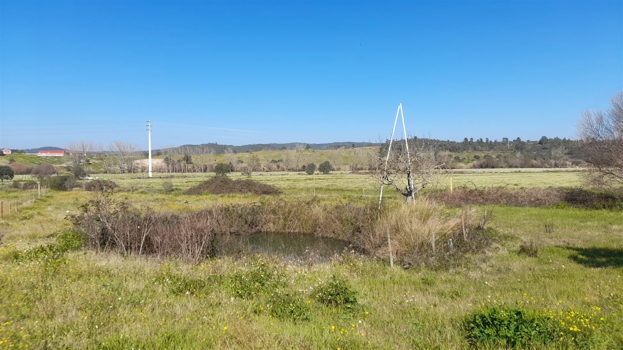 Quinta T0 para Venda em Vila Velha de Rodão Foto 5