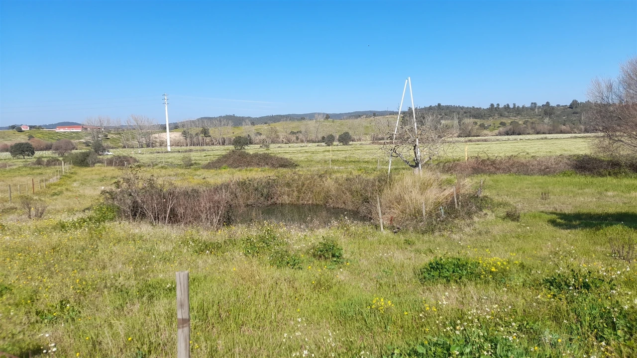 Quinta T0 para Venda em Vila Velha de Rodão Foto 4