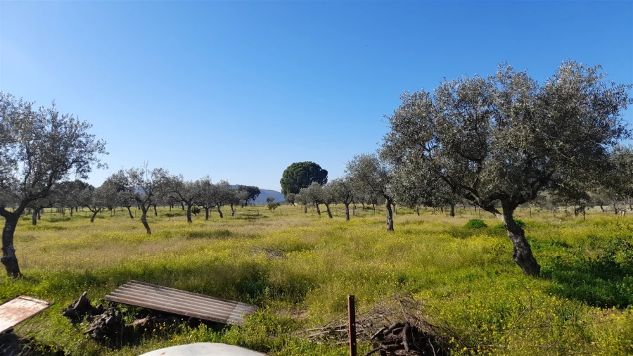 Quinta T0 para Venda em Vila Velha de Rodão Foto 14