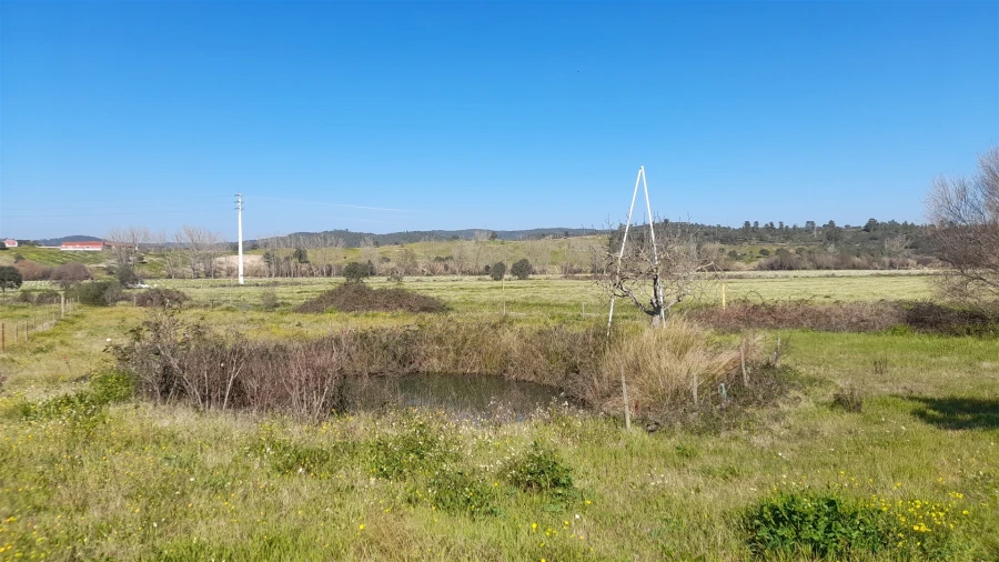 Quinta T0 para Venda em Vila Velha de Rodão Foto 5