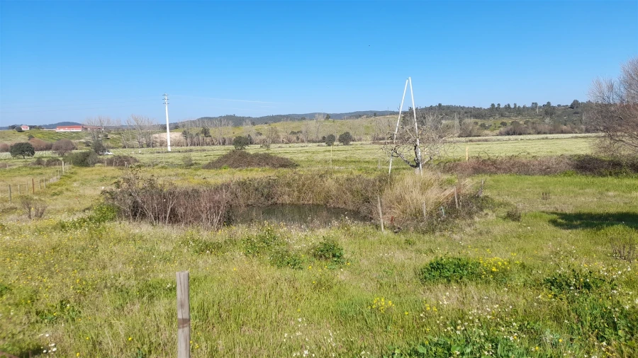 Quinta T0 para Venda em Vila Velha de Rodão Foto 4