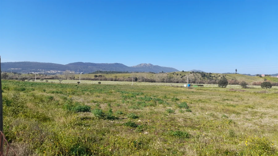 Quinta T0 para Venda em Vila Velha de Rodão Foto 6
