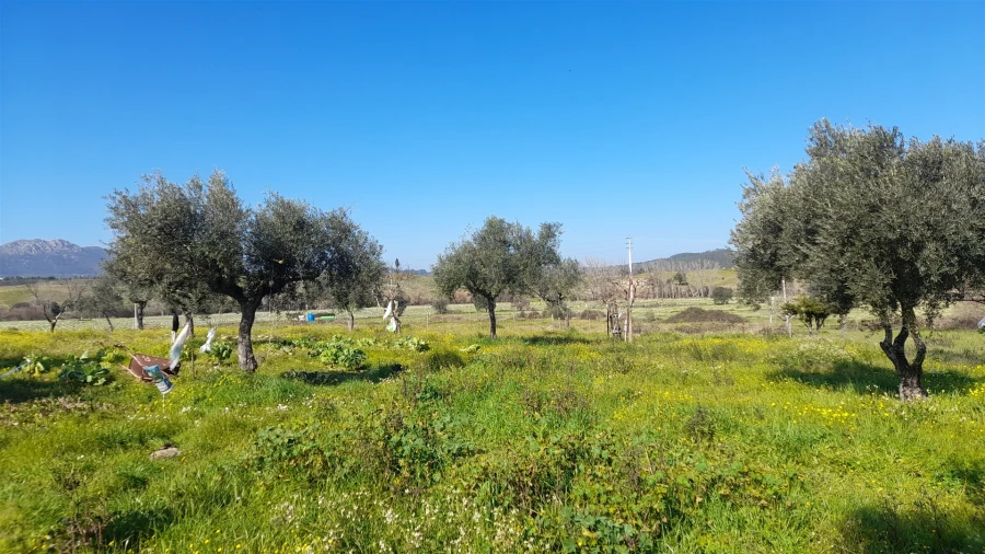 Quinta T0 para Venda em Vila Velha de Rodão Foto 3