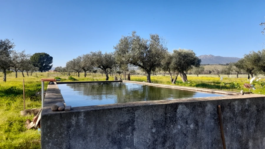 Quinta T0 para Venda em Vila Velha de Rodão Foto 2