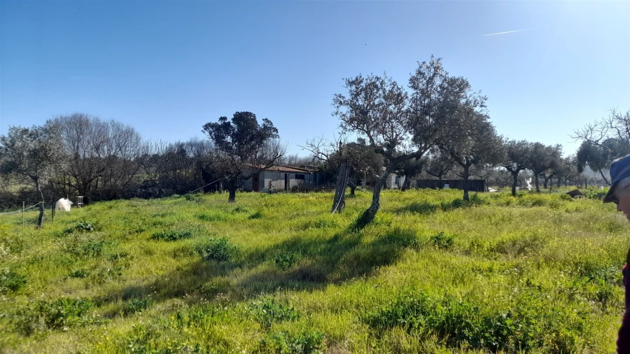 Quinta T0 para Venda em Vila Velha de Rodão Foto 8