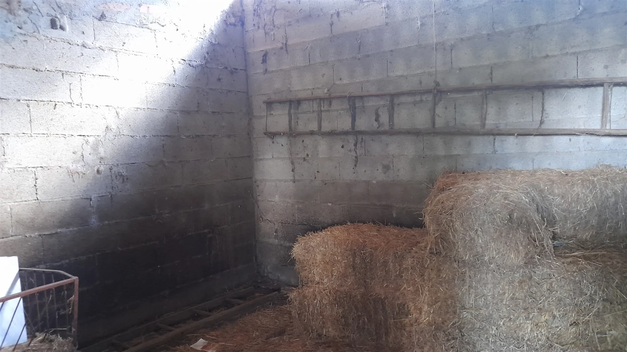 Quinta T0 para Venda em Vila Velha de Rodão Foto 27