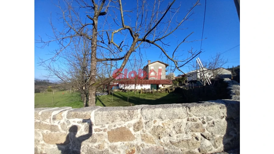 Terreno para Venda em São Vicente de Lafões Foto 7