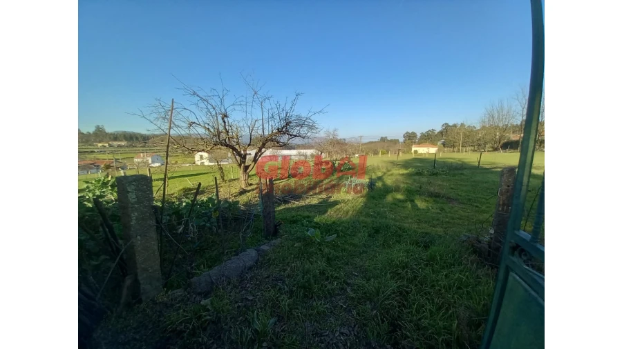 Terreno para Venda em São Vicente de Lafões Foto 5