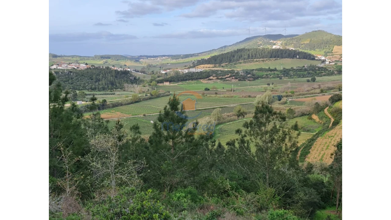 Terreno Agricola ou Rústico para Venda em Santa Maria, São Pedro e Matacães Foto 1