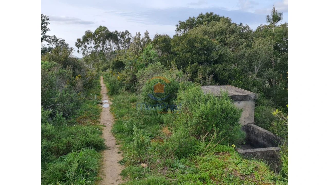 Terreno Agricola ou Rústico para Venda em Santa Maria, São Pedro e Matacães Foto 4