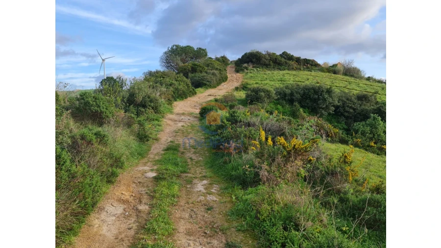 Terreno Agricola ou Rústico para Venda em Santa Maria, São Pedro e Matacães Foto 2