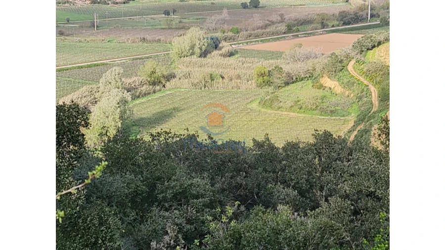 Terreno Agricola ou Rústico para Venda em Santa Maria, São Pedro e Matacães Foto 3