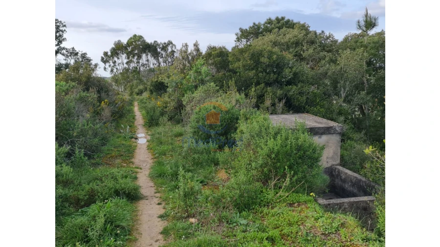 Terreno Agricola ou Rústico para Venda em Santa Maria, São Pedro e Matacães Foto 4