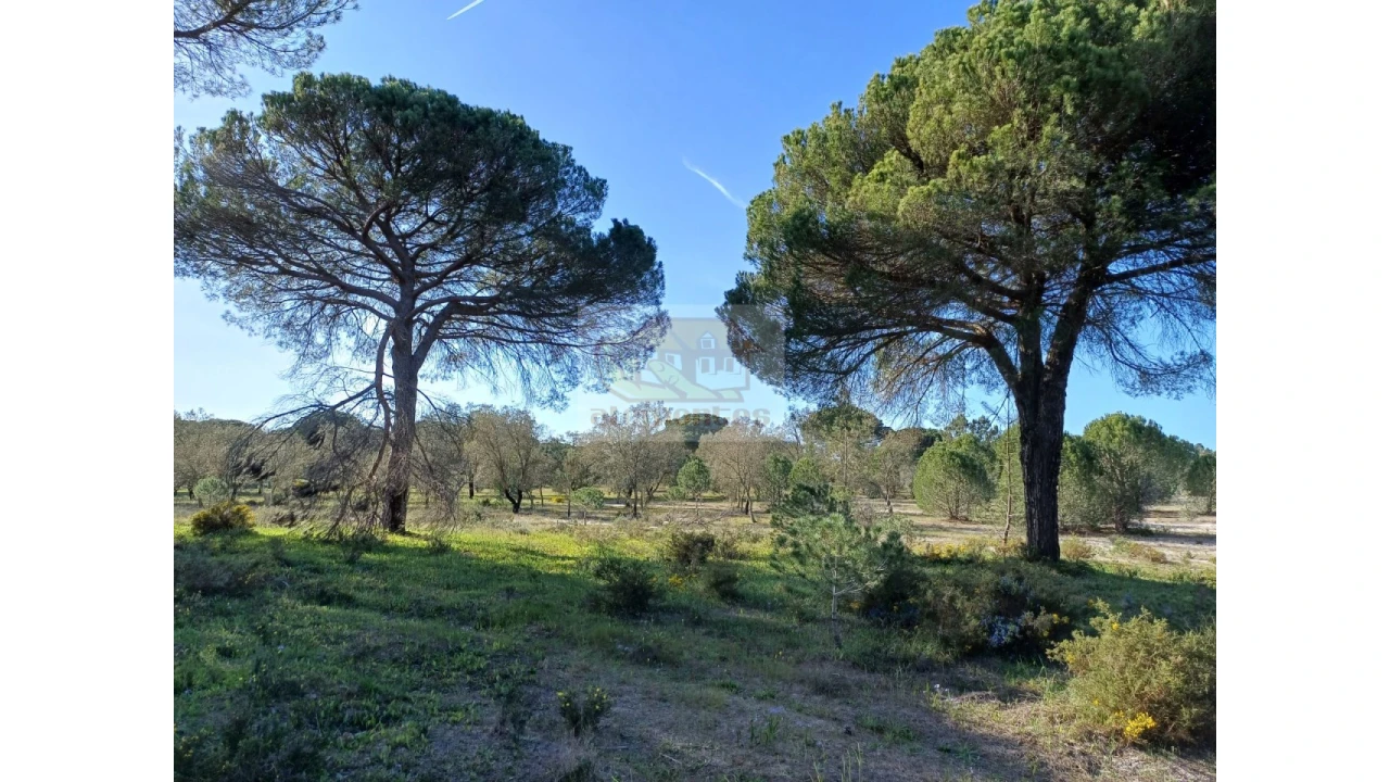 Terreno Agricola ou Rústico para Venda em Grândola e Santa Margarida da Serra Foto 1