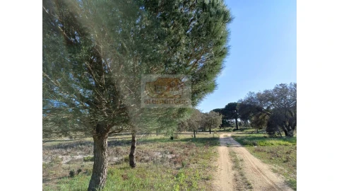 Terreno Agricola ou Rústico para Venda em Grândola e Santa Margarida da Serra