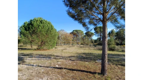 Terreno Agricola ou Rústico para Venda em Grândola e Santa Margarida da Serra