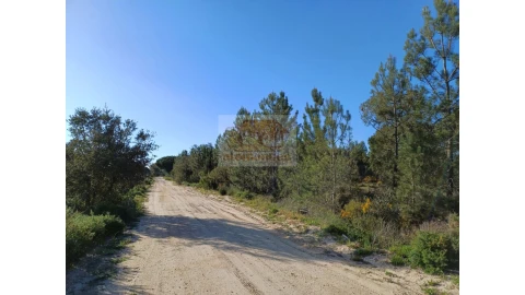 Terreno Agricola ou Rústico para Venda em Grândola e Santa Margarida da Serra