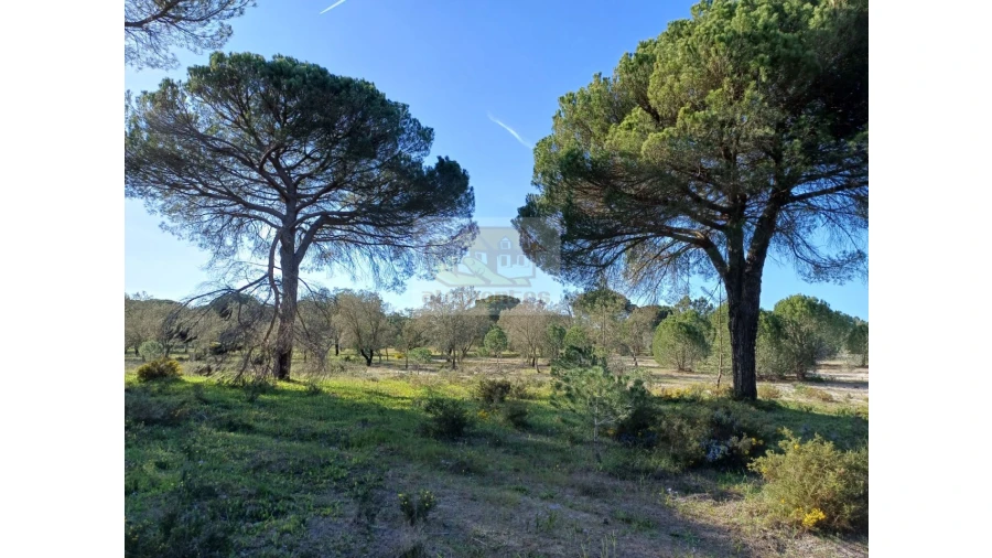 Terreno Agricola ou Rústico para Venda em Grândola e Santa Margarida da Serra