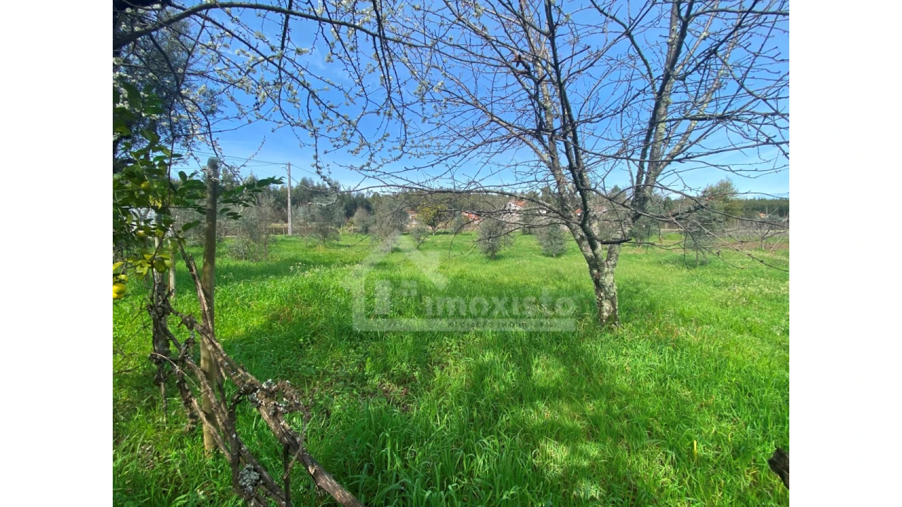 Moradia T3 para Venda em Figueiró dos Vinhos e Bairradas Foto 27