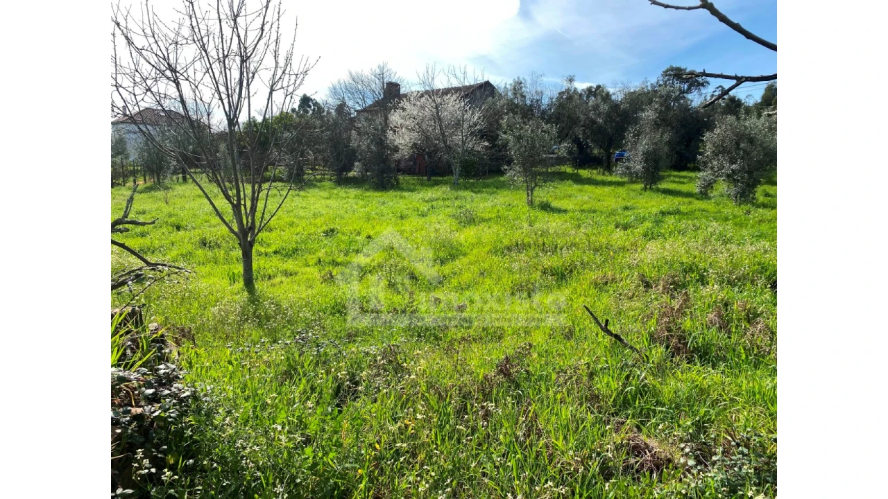 Moradia T3 para Venda em Figueiró dos Vinhos e Bairradas Foto 30