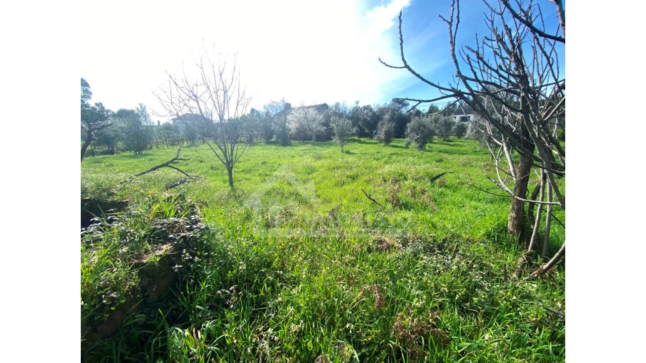 Moradia T3 para Venda em Figueiró dos Vinhos e Bairradas Foto 33