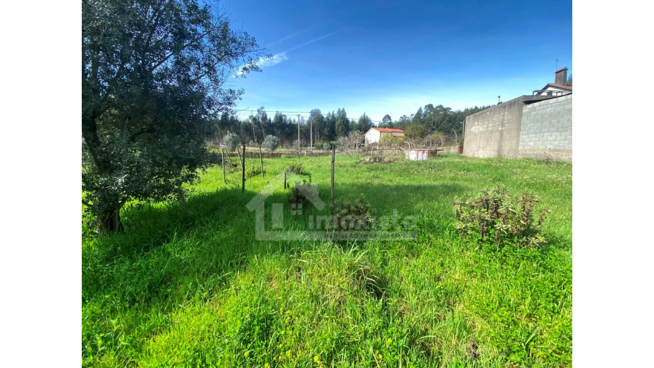 Moradia T3 para Venda em Figueiró dos Vinhos e Bairradas Foto 36