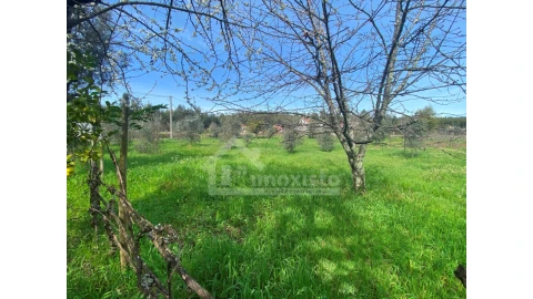 Moradia T3 para Venda em Figueiró dos Vinhos e Bairradas