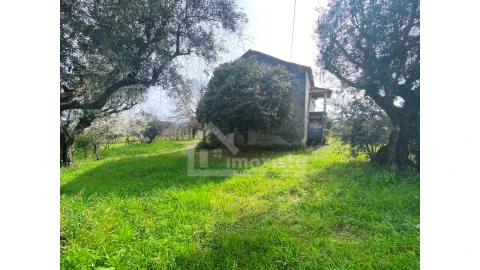 Moradia T3 para Venda em Figueiró dos Vinhos e Bairradas