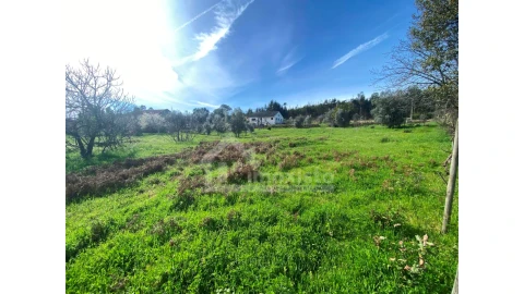 Moradia T3 para Venda em Figueiró dos Vinhos e Bairradas