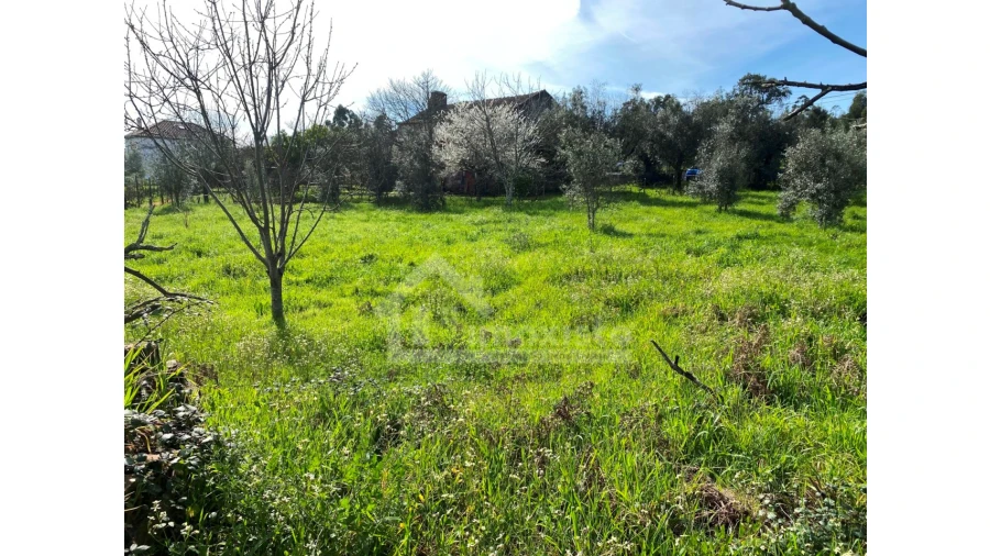 Moradia T3 para Venda em Figueiró dos Vinhos e Bairradas Foto 30