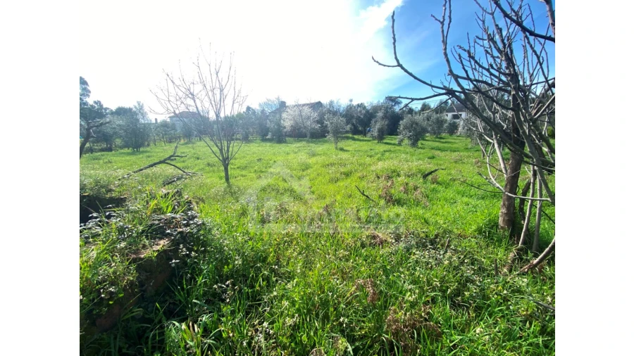Moradia T3 para Venda em Figueiró dos Vinhos e Bairradas Foto 33