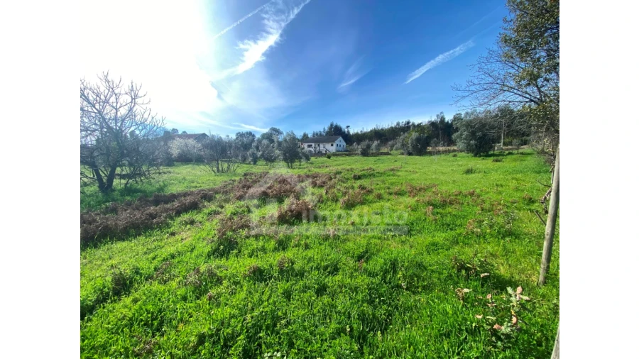 Moradia T3 para Venda em Figueiró dos Vinhos e Bairradas Foto 35