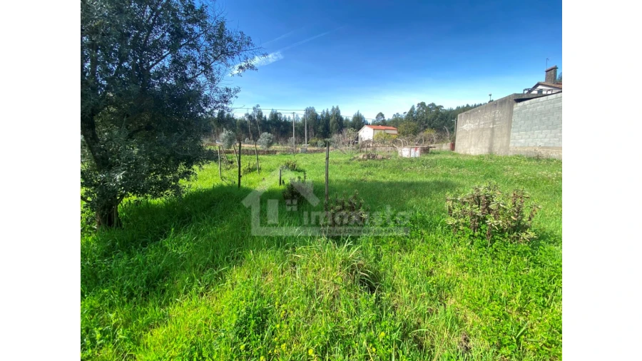 Moradia T3 para Venda em Figueiró dos Vinhos e Bairradas Foto 36